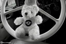 White bear - Truck Addict
