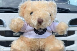 Beige bear - Truck Addict